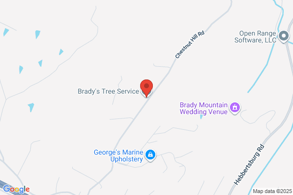 Brady's Tree Service