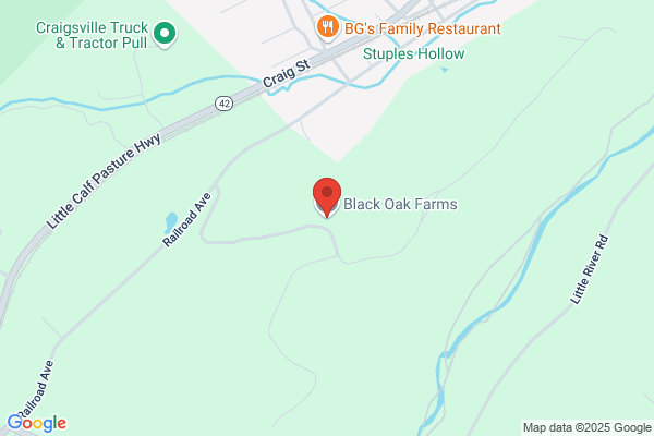 Windy Cove Farms