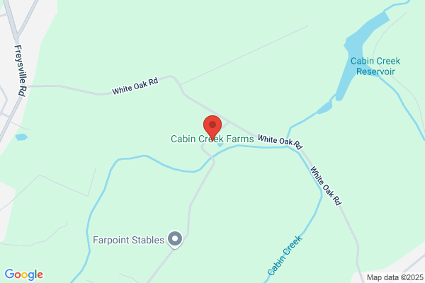 Cabin Creek Deli & More