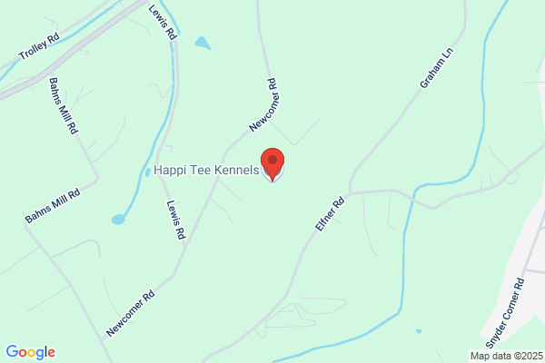 Happitee Kennels