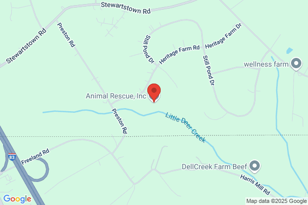 Susquehanna Stray Amimal Shelter