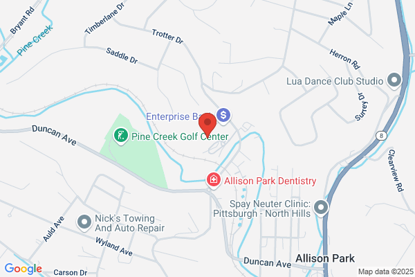 Pitt Auto Electric Co