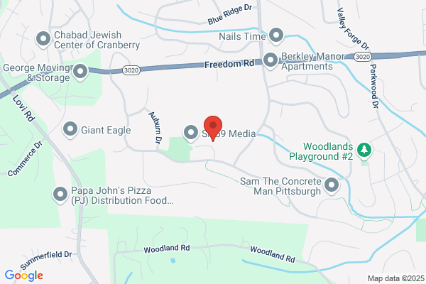 A Pro Home Inspection Service