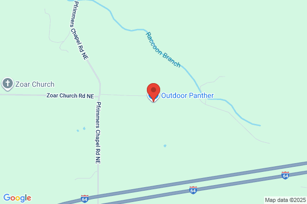 Outdoor Panther