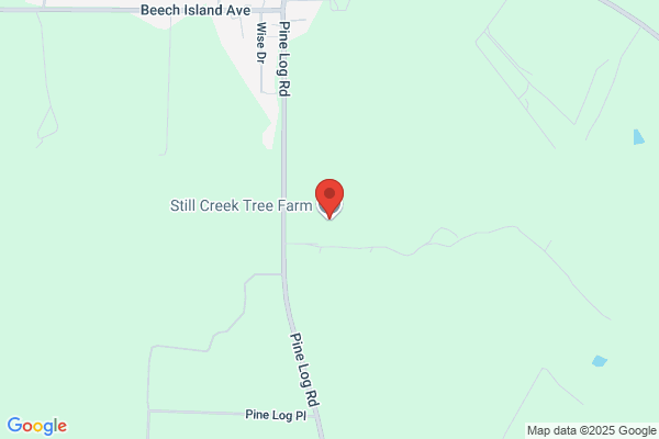 Beech Creek Tree Farm