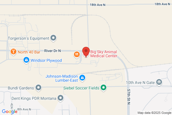 Big Sky Veterinary Service