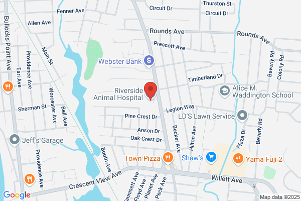 Riverside Animal Hospital
