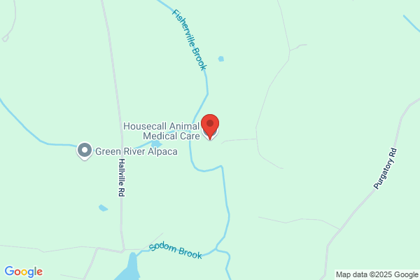 Veterinary House Call Service
