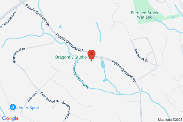 Dragonfly Studio