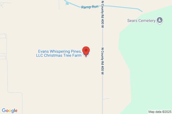 Layton's Christmas Tree Farm