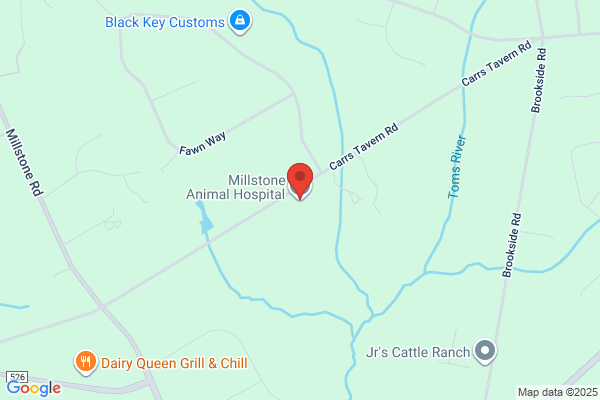Millstone Animal Hospital PA
