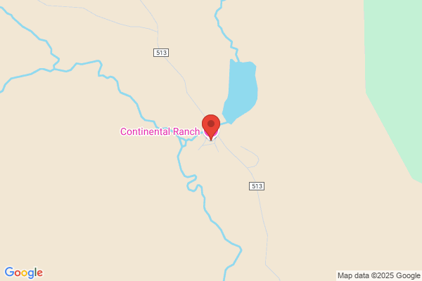 Continental Divide Services Inc