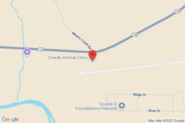 Creede Animal Clinic