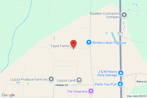 Faust Farms Partnership