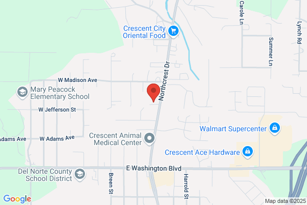 Pages Auto Repair & Electric