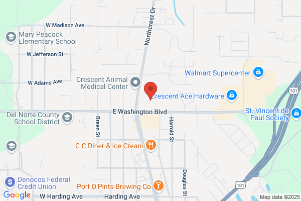 Hoffman Douglas MD