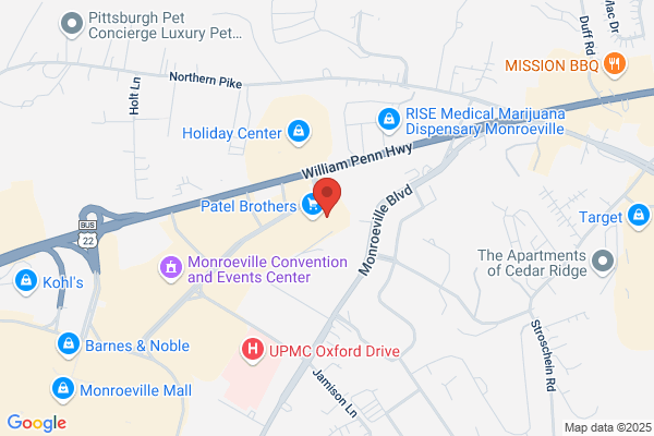 Allegheny Process Services