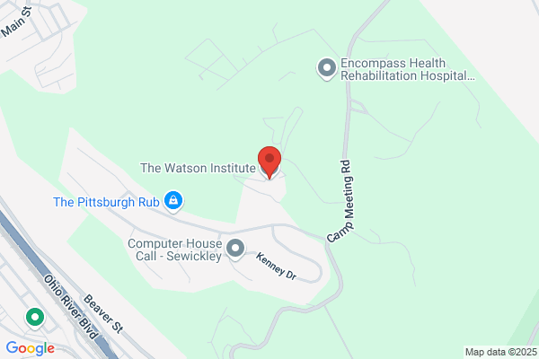 Watson Institute the