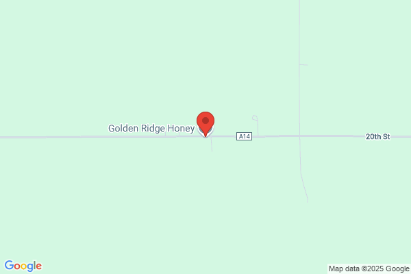 Golden Ridge Honey