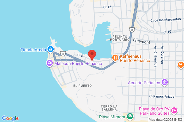 Las Gaviotas Seafood Restaurant
