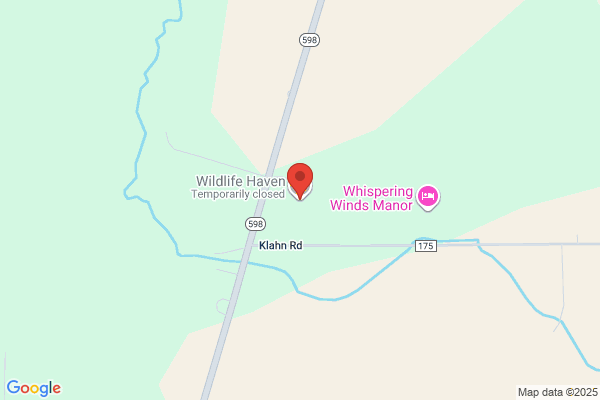 Wildlife Haven