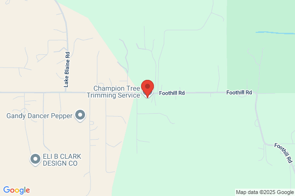 Champion Tree Trimming Service, LLC