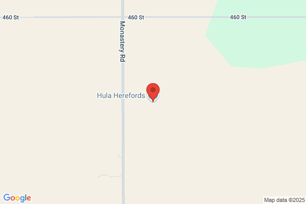 Hula Herefords