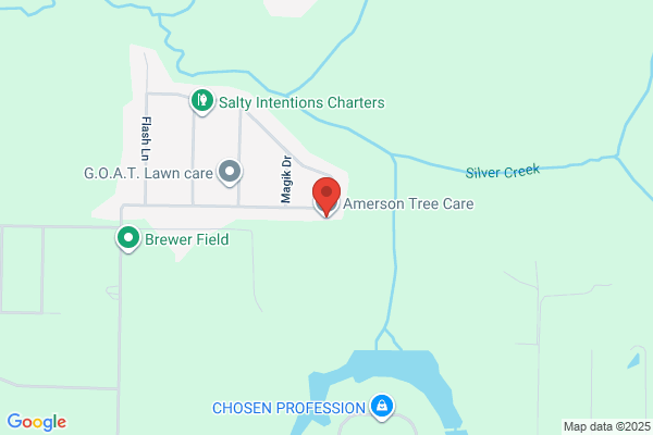 Amerson Tree Care LLC