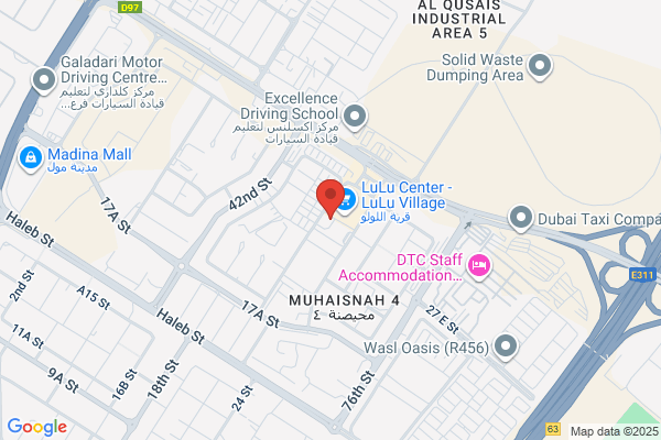 Lulu Bus Company