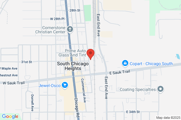 Pestmaster of South Chicago