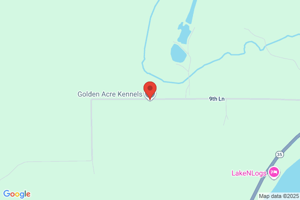 Golden Acres Kennel