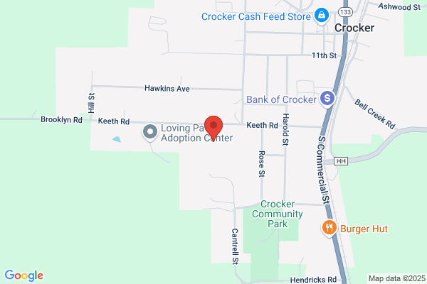 Pulaski County Group Home