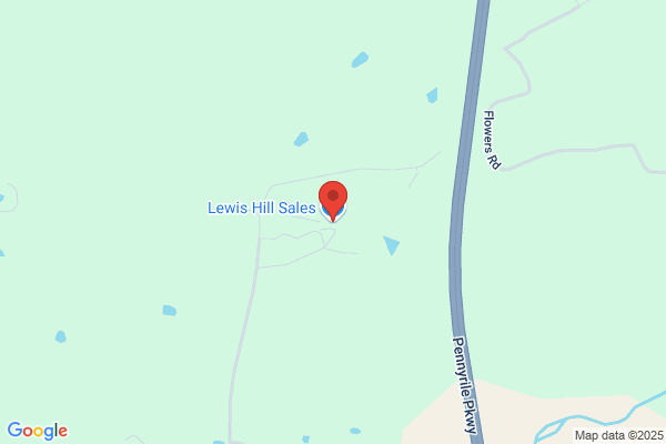 Lewis Hill Sales