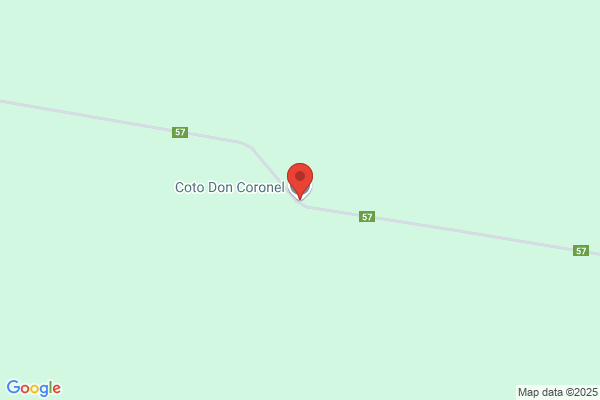 Don Coronel, DDS - Inactive