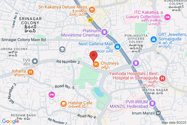 Vibrant Search SEO
