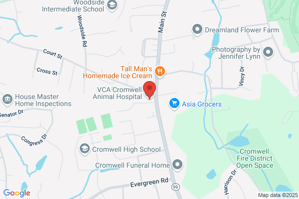 VCA Cromwell Animal Hospital