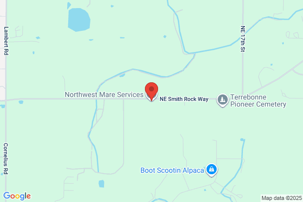 Northwest Mare Services