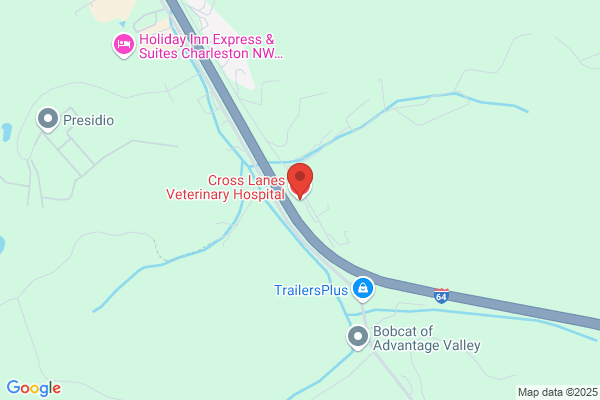 Cross Lanes Veterinary Hospital