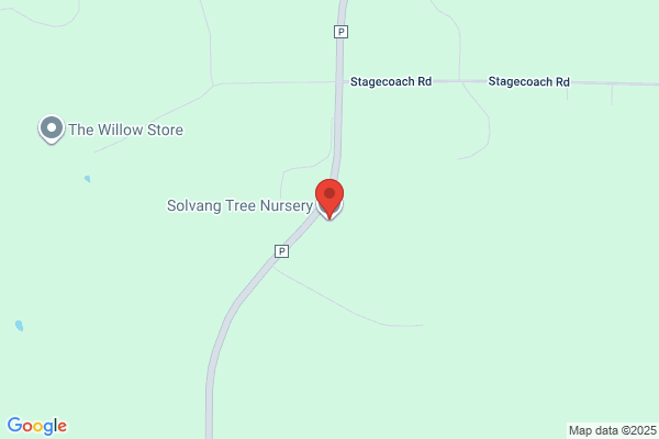 Solvang Tree Nursery LLC