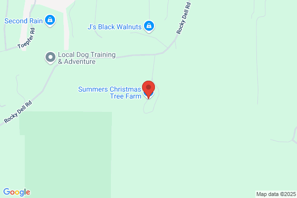 Summers Christmas Tree Farm