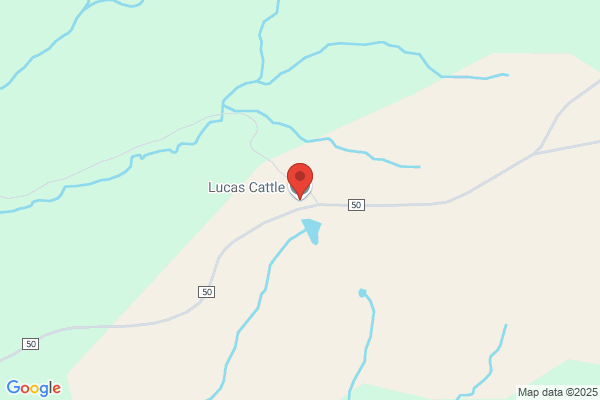 Lucas Cattle Company