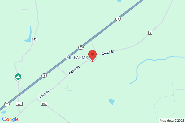 P & P Farms