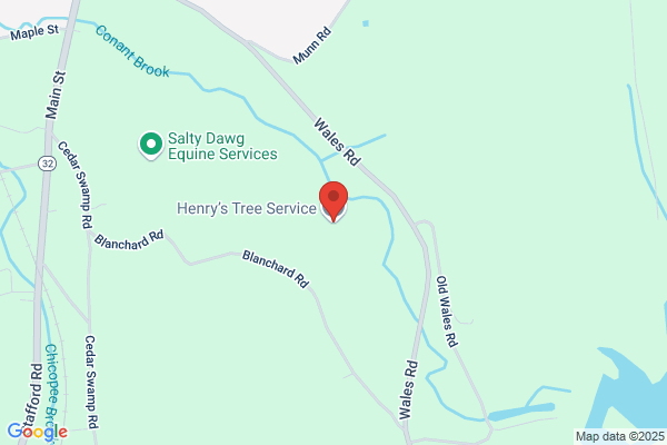 Henrys Tree Service