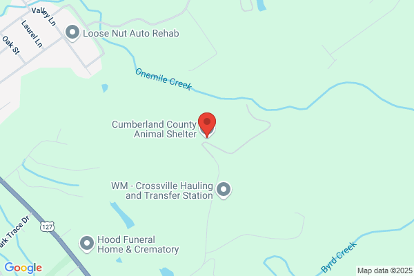 Humane Society of Cumberland County, Animal Shelter