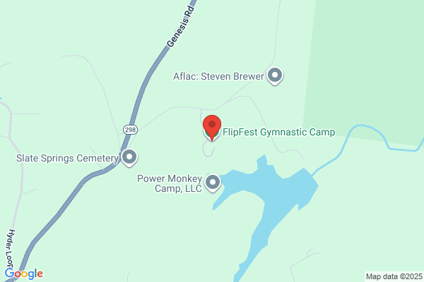 FlipFest Gymnastics Camp