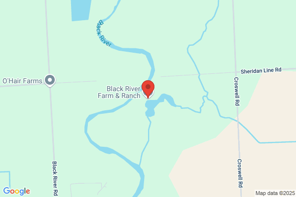 Black River Farm & Ranch