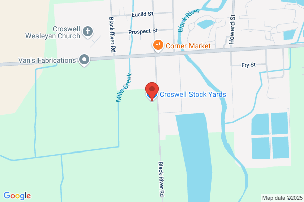 Croswell Stock Yards