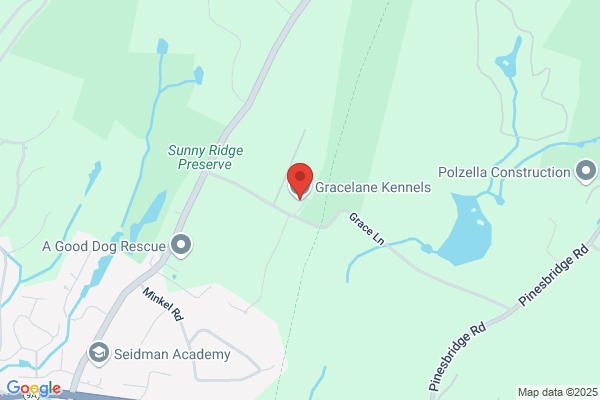 Gracelane Kennels