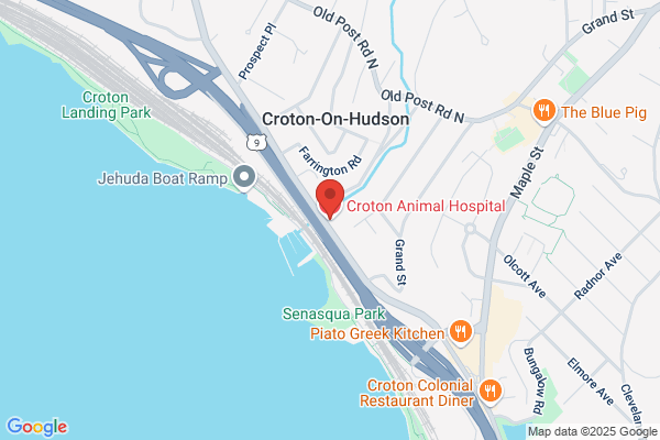 Croton Animal Hospital