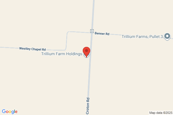 Buckeye Egg Farm Lp, Breeder Pullet